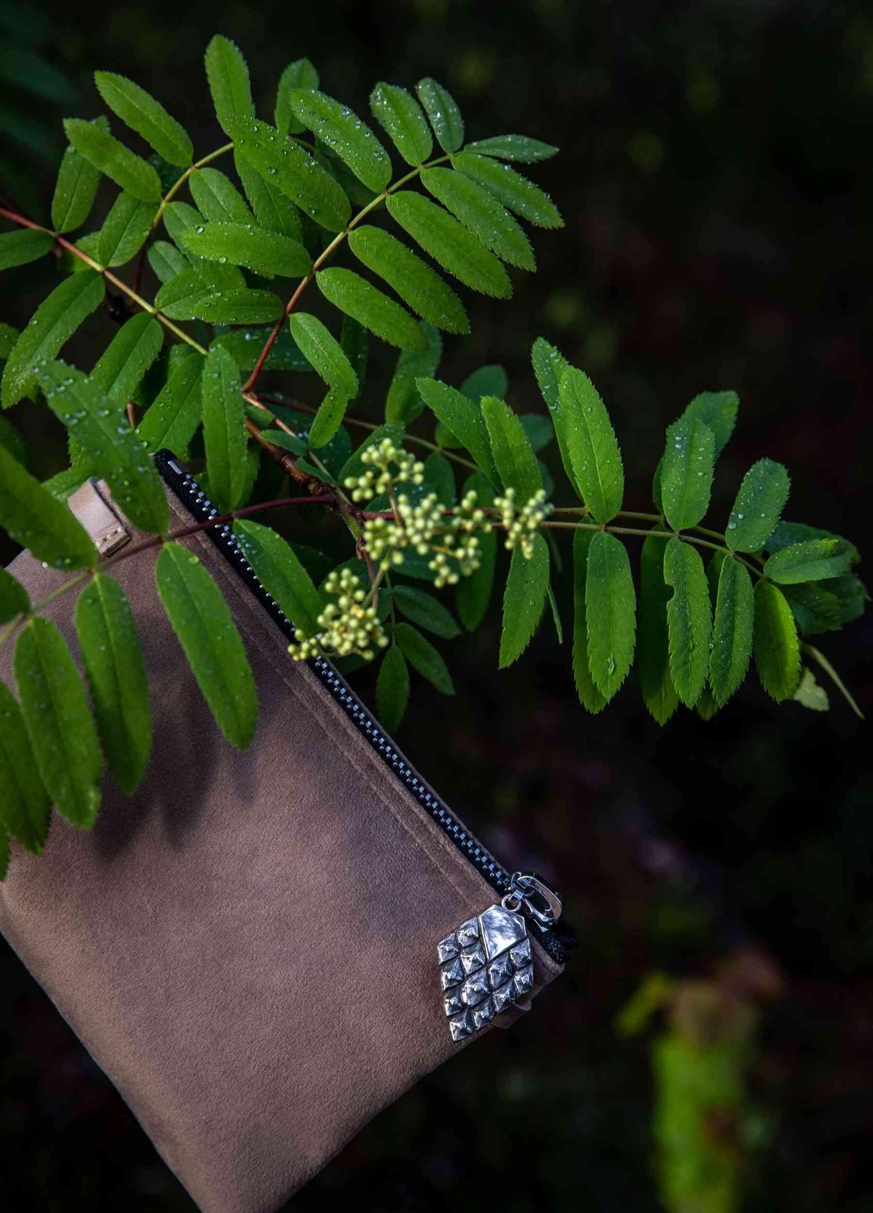 Vasu Pouch