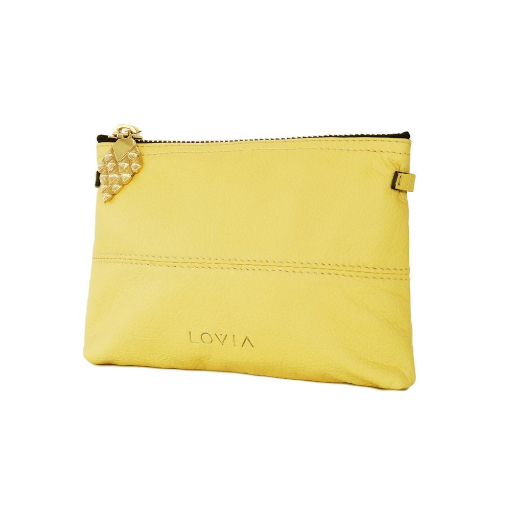 Vasu Pouch