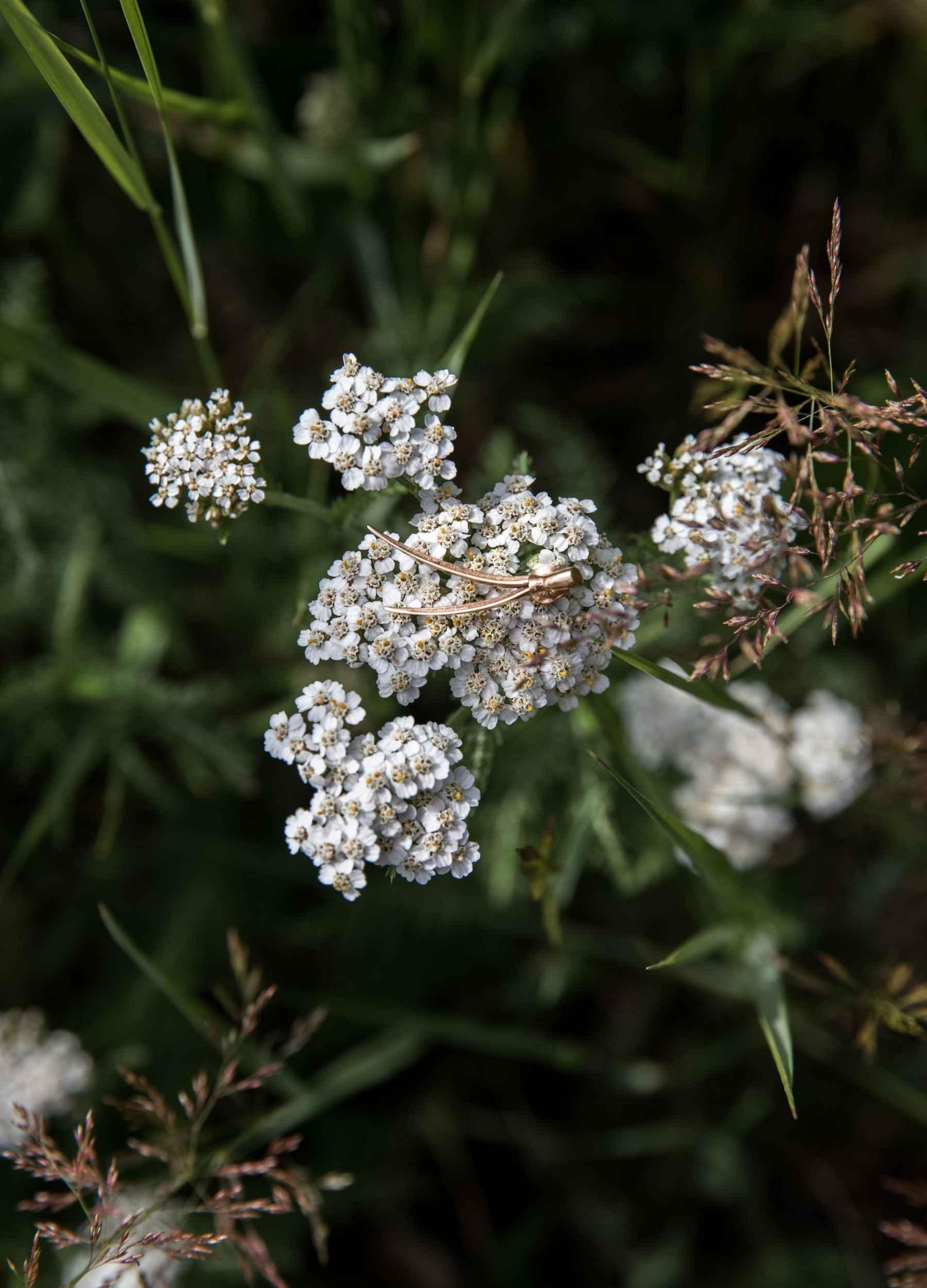 Petäjä Earrings